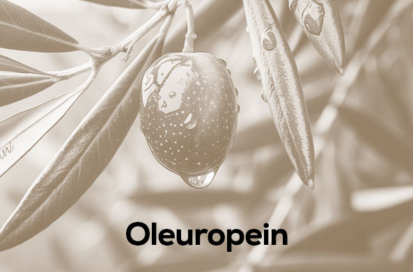 Oleuropein Nedir?
