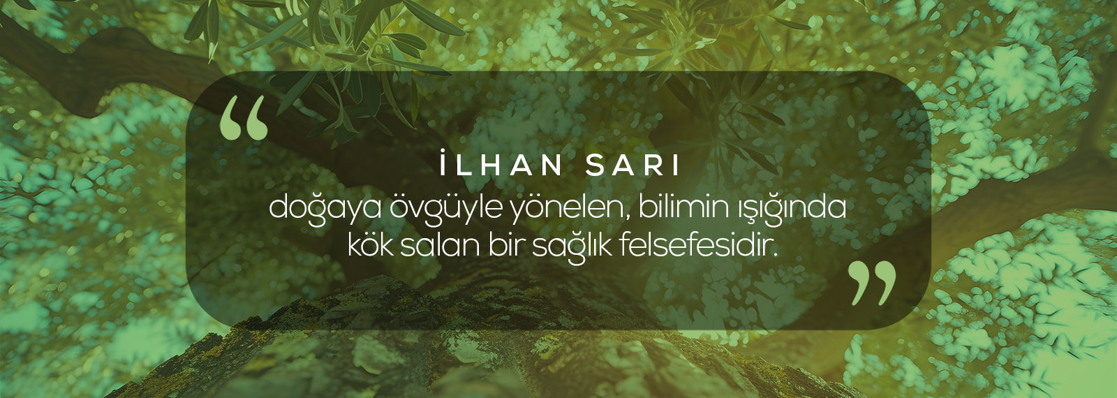 hp-slideshow-01